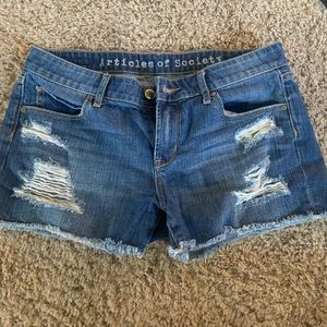 Articles of society shorts 27